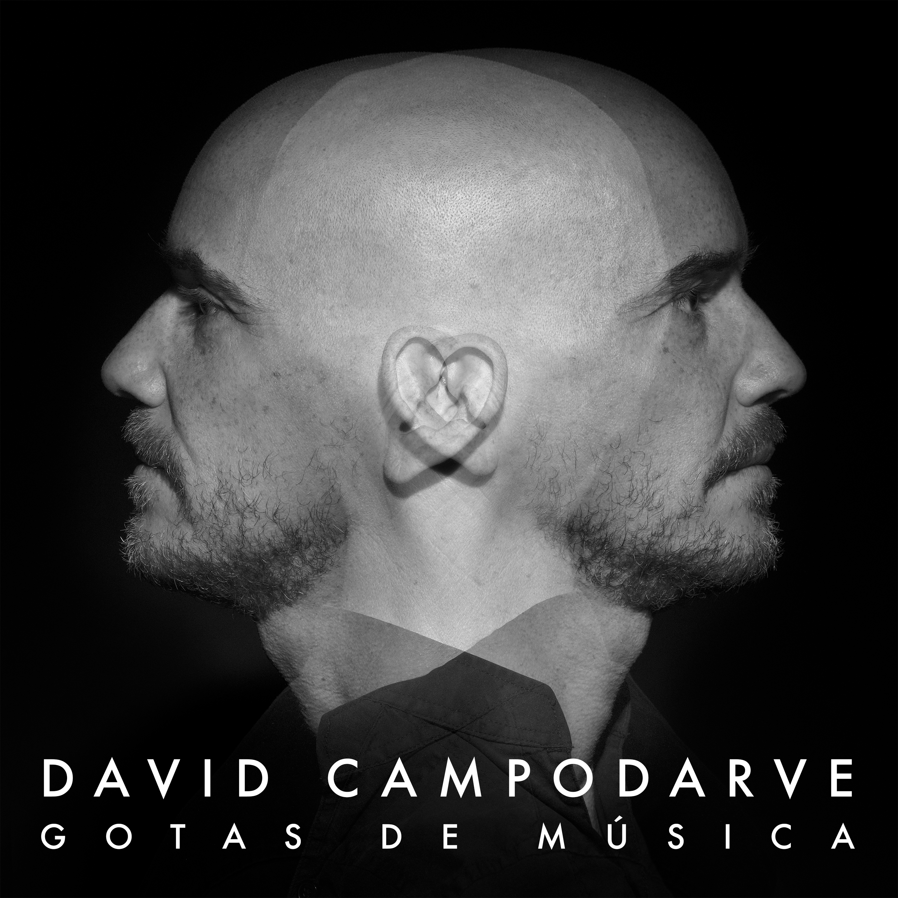 Gotas de Música